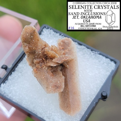 SELENITE CRYSTAL CLUSTER JET OKLAHOMA SAND INCLUSIONS PERKY box - Picture 19 of 23