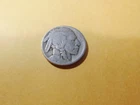1919(P) BUFFALO HEAD NICKEL ~ #1