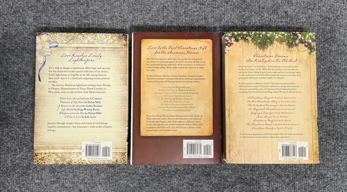Wanda Brunsetter Cabin Christmas & Brides Collection Paperback Lot x 3 Books - Picture 2 of 3