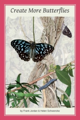 Jordan - Create More Butterflies  A Guide to 48 butterflies and their  - X555z