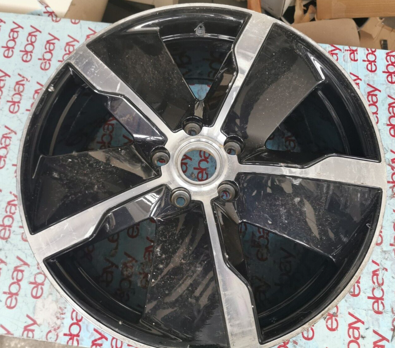 Foto 1 di 8