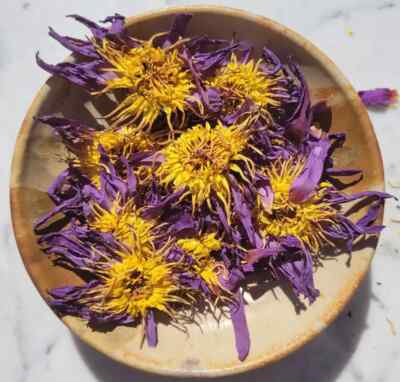 Blue Lotus Flower Organic Dried / Farm Fresh Packed USA Free Ship