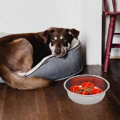 Puppy Feeding Bowl Silicone Slow Feeder Dog Supplies Pet Slow Food Bowl - Picture 3 of 14