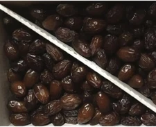 22 LB MEDJOOL DATES.   CALIFORNIA FRESH. .Rutob- Very Soft