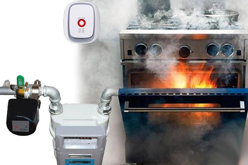 Válvula de agua y gas inteligente ZigBee con control por voz Tuya Alexa Google Home - Imagen 9 de 12