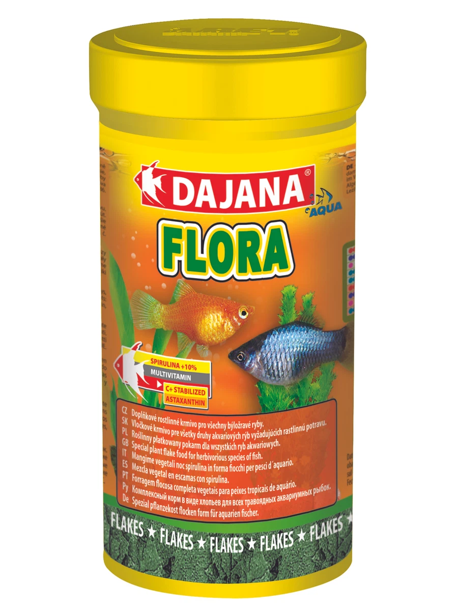 Dajana fish cheap food