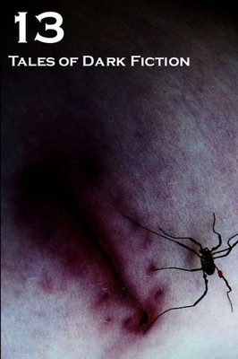 Adam Bradley (u. a.) | 13 | Taschenbuch | Englisch (2011) | [.]