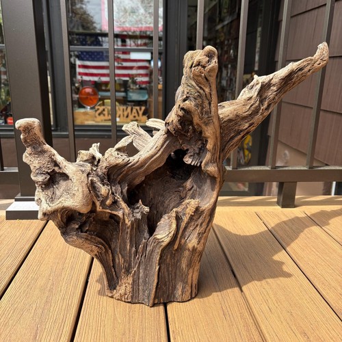 Driftwood Natural Tree Stump Long Branches Oval Opening Terrarium Aquarium Decor