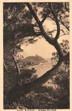 LE CAP FERRAT seen through the Pines of Aleppo - Cote d Azur - LA DOUCE FRANCE