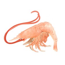 Pink shrimp by Safari Ltd. retired figure 265729 Rare NEW UNOPENED