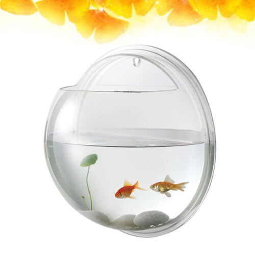 Wand Aquarium Aquarium Aquarien & Fisch Schalen Kugel Aquarium - Bild 11 von 12