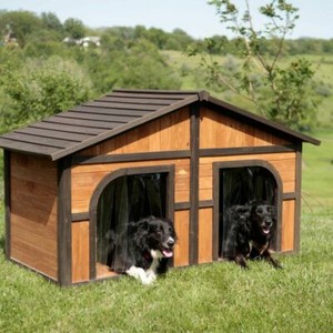 Best Dog Houses Ebay