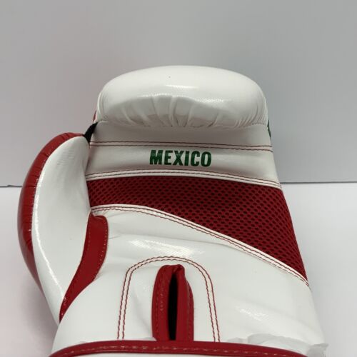 JULIO CESAR CHAVEZ SIGNED TITLE MEXICO LH GLOVE WITH "VIVA MEXICO" BAS W210309 - Picture 3 of 4