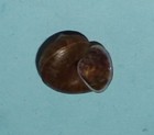 Picture 2 of 2