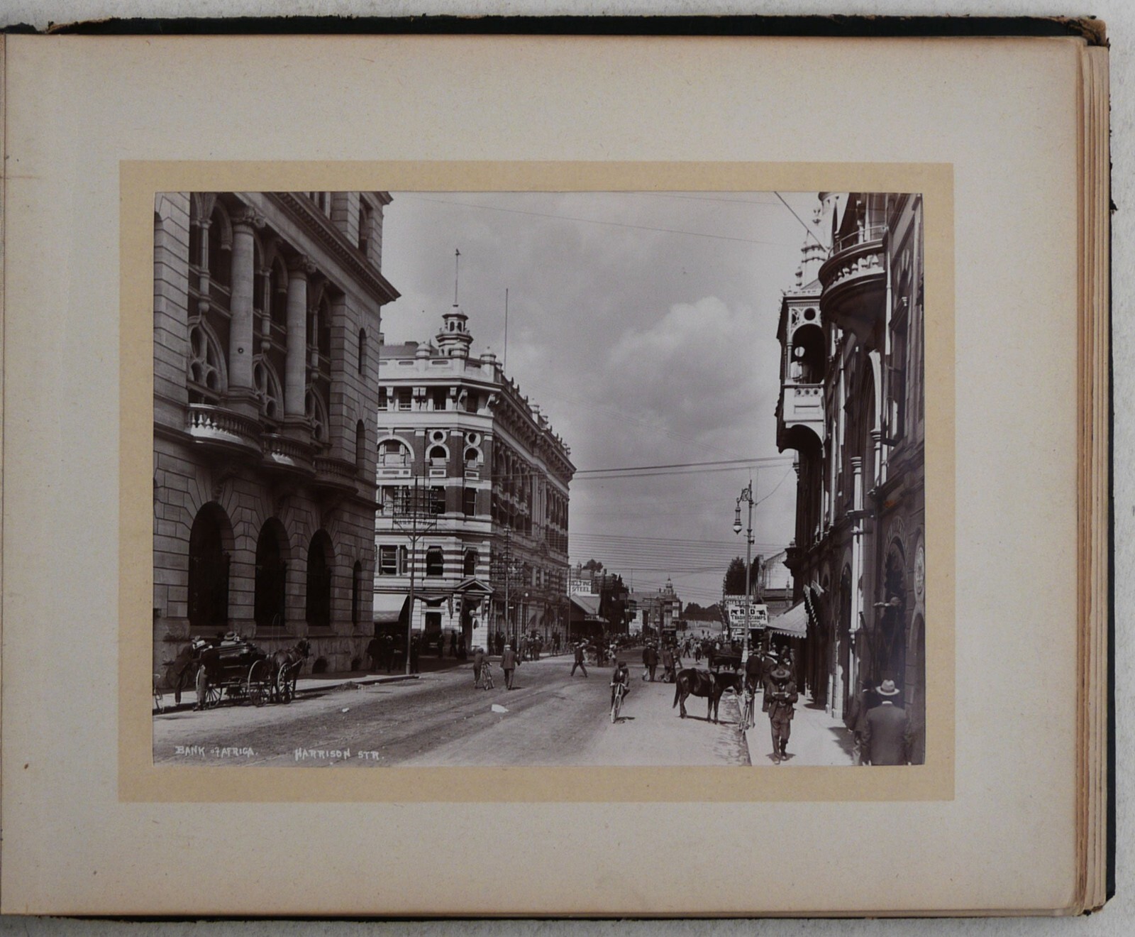 Picture 8 of 19