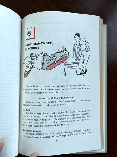 American Red Cross First Aid Textbook For Juniors 2nd Ed 2nd Print ILLUSTRATIONS - Picture 17 of 24