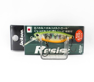 Jackson Resist 45 Single Hook Schwimmend Köder WYM (4419)