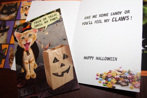 Lot of 20 Recycled Greetings Halloween Cards 10 diff styles of CAT Halloweencard - Picture 2 of 7