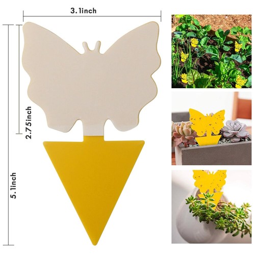 24pcs Sticky Traps, Fruit Fly Traps for Indoors, Gnat Sticky Traps for House ... - Picture 5 of 7