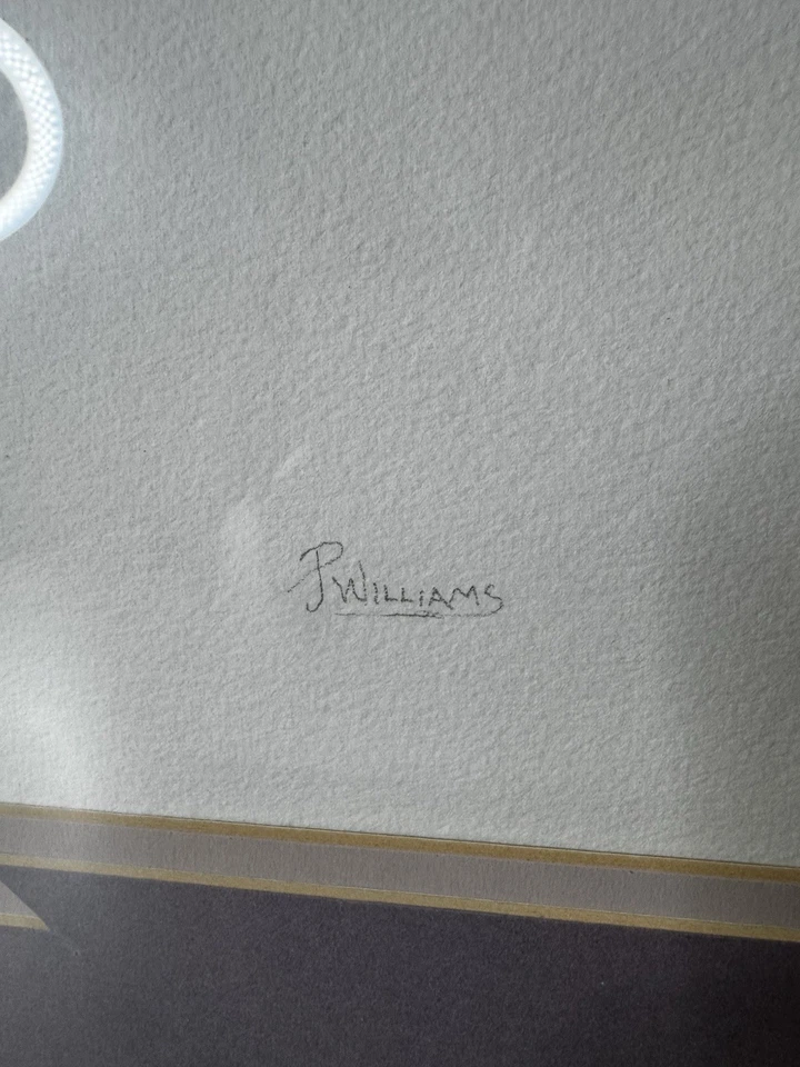 Arte Original Acuarela 30x24 Firmado P Williams Nativo Nuevo México Raro Foto 2 de 4