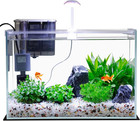5 Gallon Glass Small Fish Tank Filter Light Lid Betta Aquarium Starter Kit