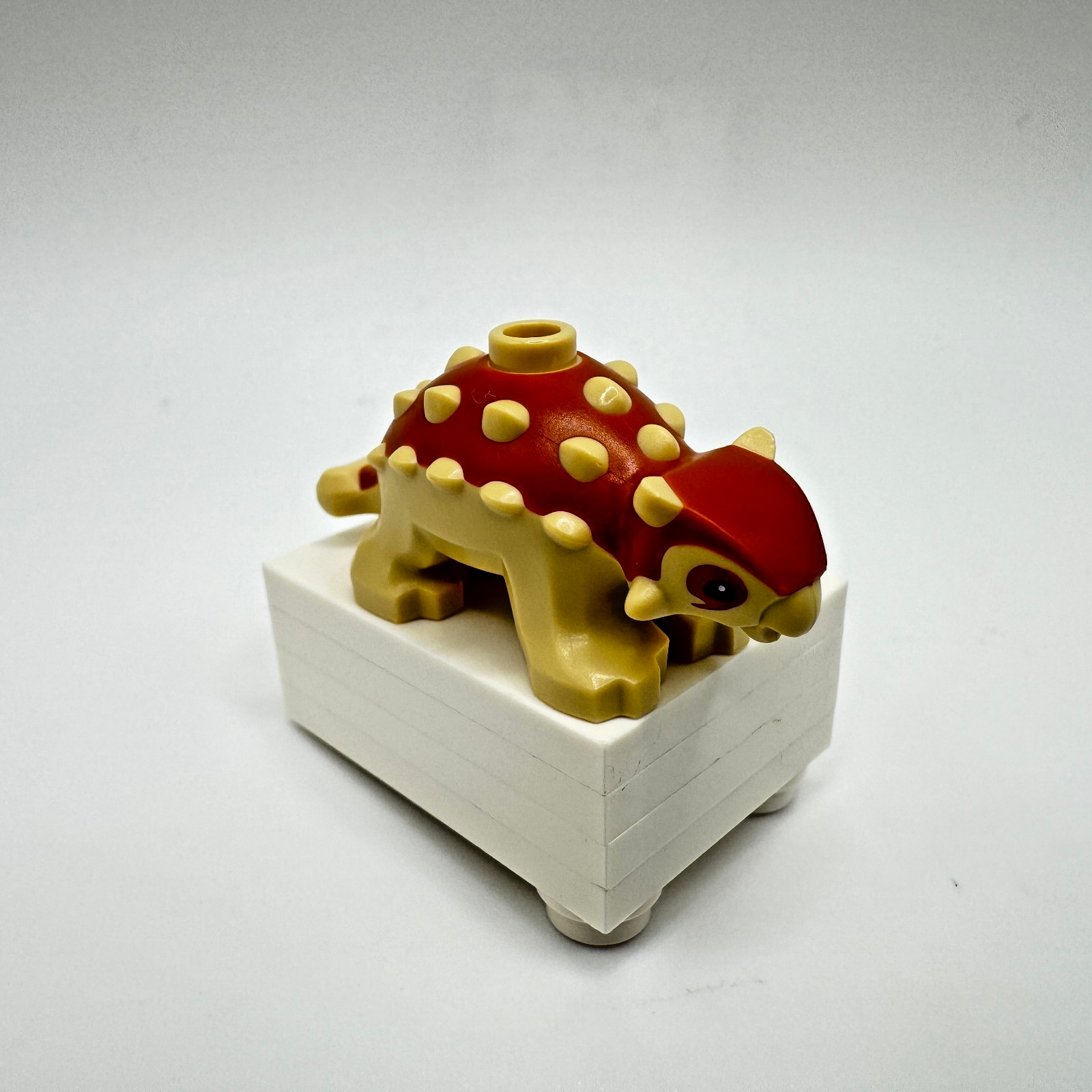 Foto 1 di 3