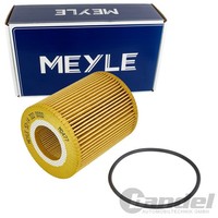Meyle ÖLfilter Filtereinsatz Passend FüR CitroËN C5 C6 Jaguar F-PACE XF XJ Land