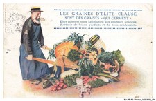 BU-BFP2-0206-ADVERTISING - The Elite Clause Seeds Are Seeds That Germinate