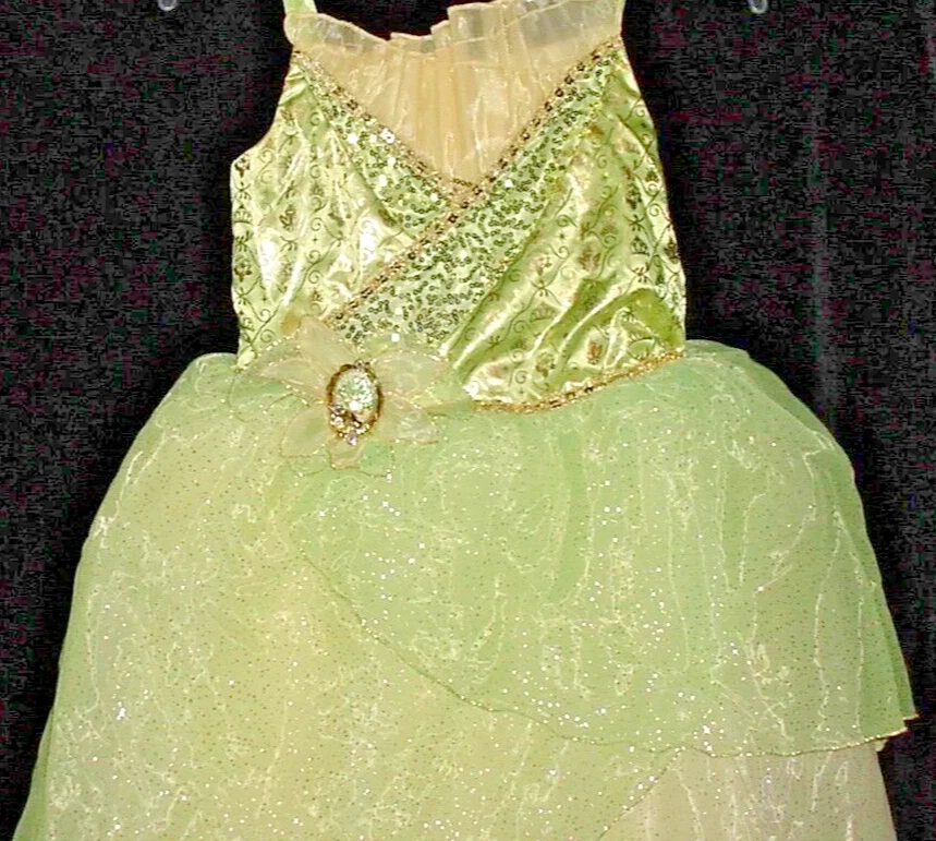 Disney Store Princess and the Frog Princess TIANA Dress Up Costume Size 9-10 - Image 2 of 3