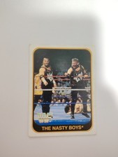 WWF Wrestling Trading Cards Merlin 1991 - The Nasty Boys No. 113