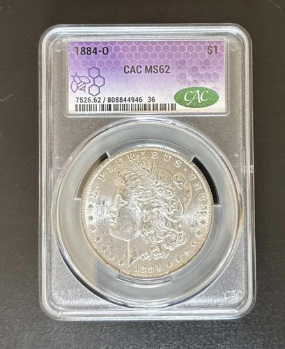 1884-O Morgan Silver Dollar CAC MS62 - New Orleans Mint Trader Bea Purple Label