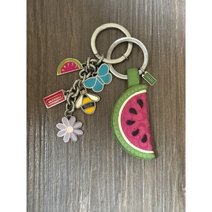 Coach Watermelon | eBay