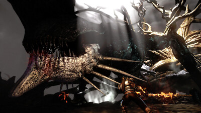 Bound by Flame [Steam Key]