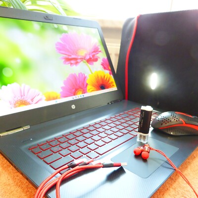 HP OMEN 17 W2 HIGH END Gaming GeForce GTX 1060 l i7 l 16GB RAM Windows 11 SSD