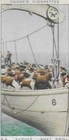 Afbeelding 90 van 157