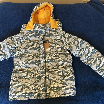 The North Face Women's Liberty Mountain Sierra Down Jacket