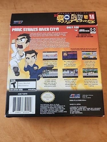River City Ransom EX Game Boy Advance solo scatola e gioco - Foto 5 di 5