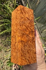 Stabilized K G Amboyna Burl Turning Blank  5.75 x 1.95 x 1.95   1405 