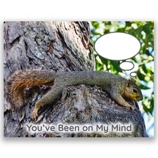 You've Been on My Mind Squirrel Thinking of You Greeting Card