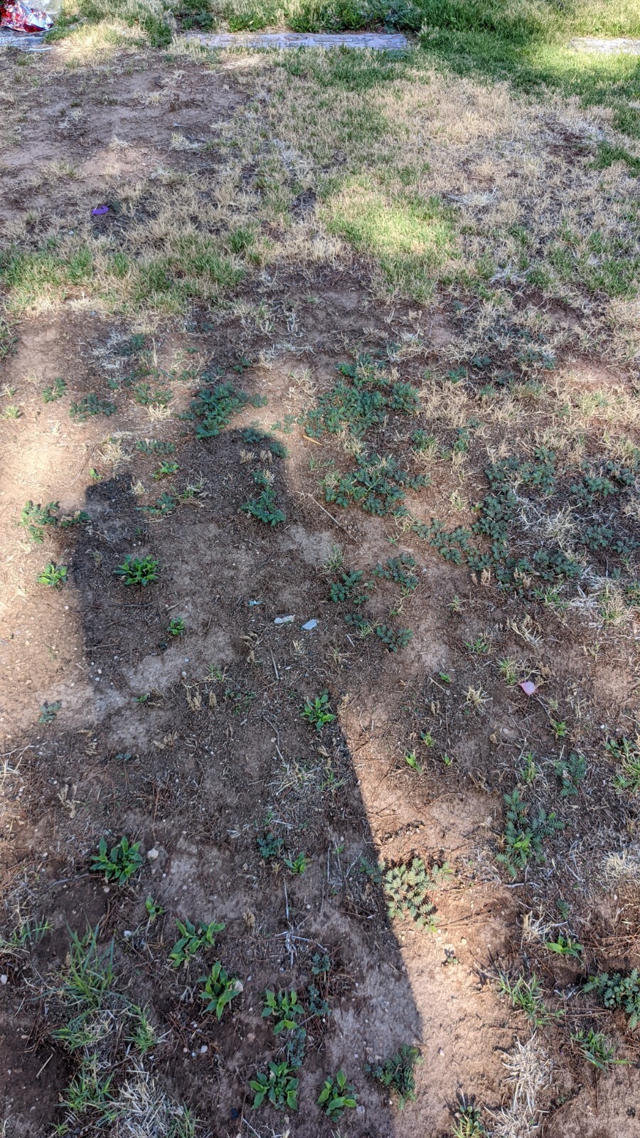Picture 4 of 6