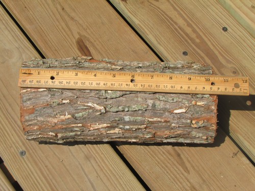 *LOT OF 2* WILLOW Wood Logs, 9 x 4 in, Large Carving Blanks - *Green Wood* SET - Picture 2 of 6