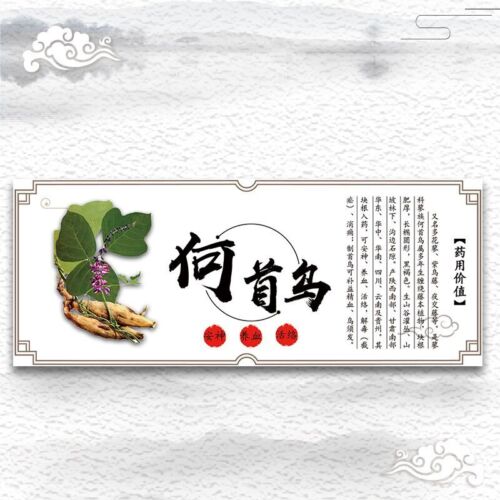 250g Organic Wild Powdered China He Shou Wu Fo-ti Prepared Polygonum Multiflorum - Picture 1 of 6