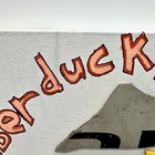 Bild 8 von 11