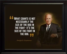 Dwight D. Eisenhower What Counts Poster Print Picture or Framed Wall Art