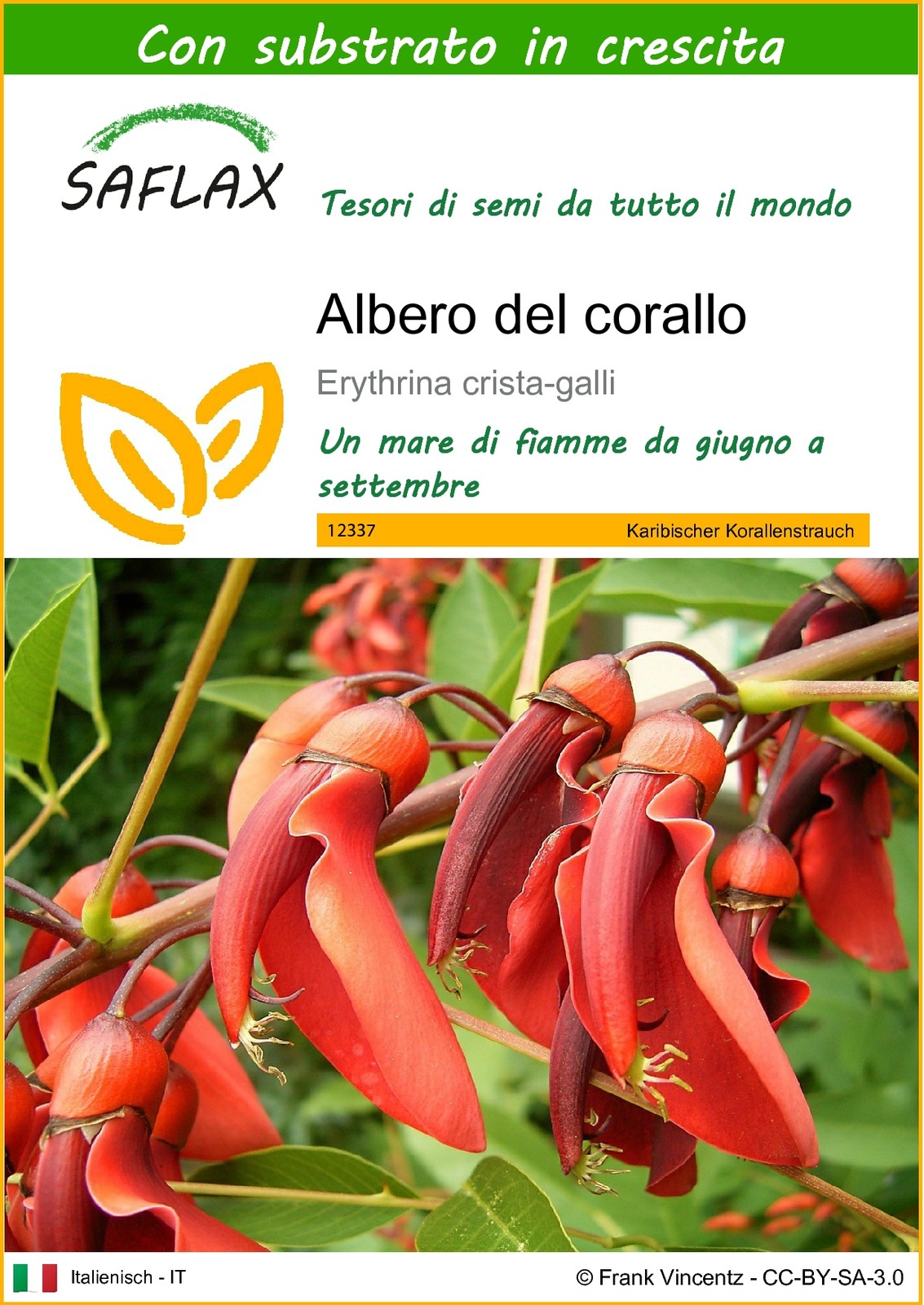 Imagen 1 de 10