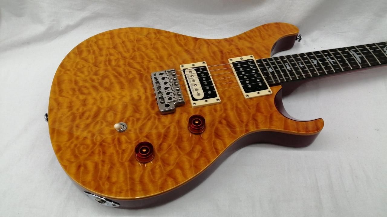 PAUL REED SMITH Electric Guitar 25th Anniversary SE Custom24 Used