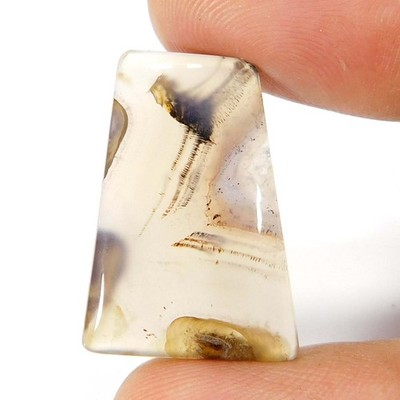 Fancy Cabochon Pseudomorph Turkish Stick Agate Natural Loose Gemstone 20.15Cts.