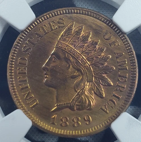 1889 Indian Head Cent - NGC Graded UNC Details Altered Color