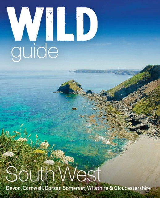 Wild Guide South West by Daniel Start (Paperback Book)