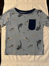 Kite Baby Shark T-Shirt 4T